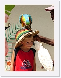 Bird Feeding * 576 x 768 * (79KB)